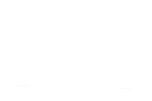 Book Luxury Golden Triangle Tour